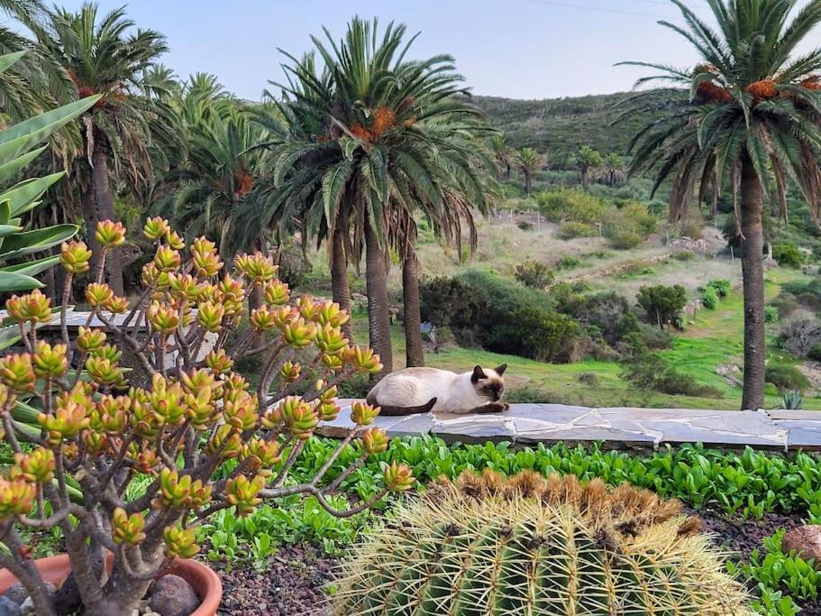 Casa Tara Ruhe Und Entspannung, Natur Pur Acardece Exterior foto
