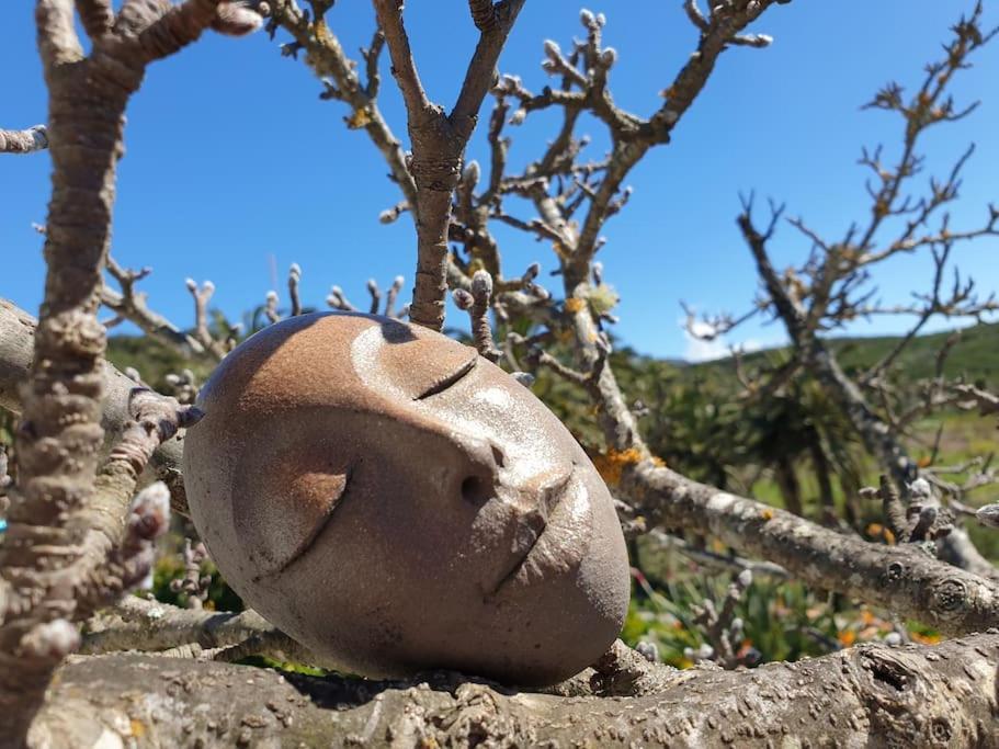 Casa Tara Ruhe Und Entspannung, Natur Pur Acardece Exterior foto